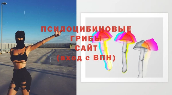 спиды Алексеевка