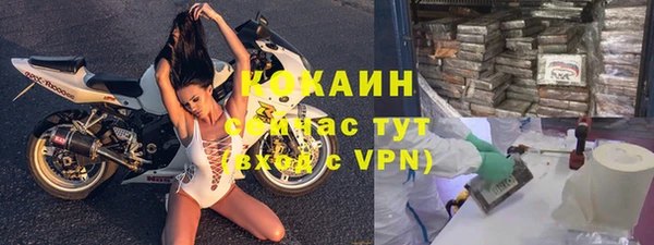 PSILOCYBIN Алзамай