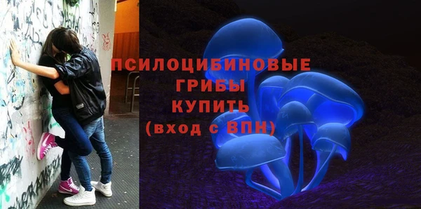 PSILOCYBIN Алзамай