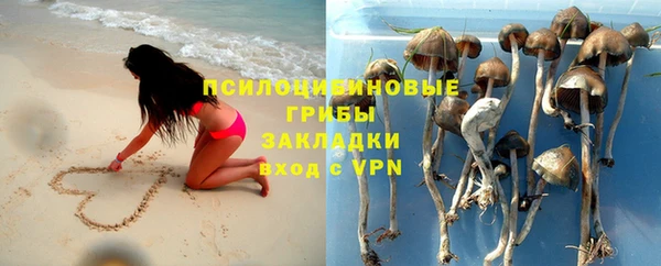 стаф Алексин
