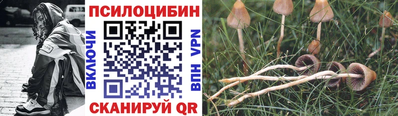 KRAKEN   Лахденпохья  Галлюциногенные грибы мицелий  где купить наркоту 