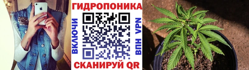 Шишки марихуана марихуана Лахденпохья